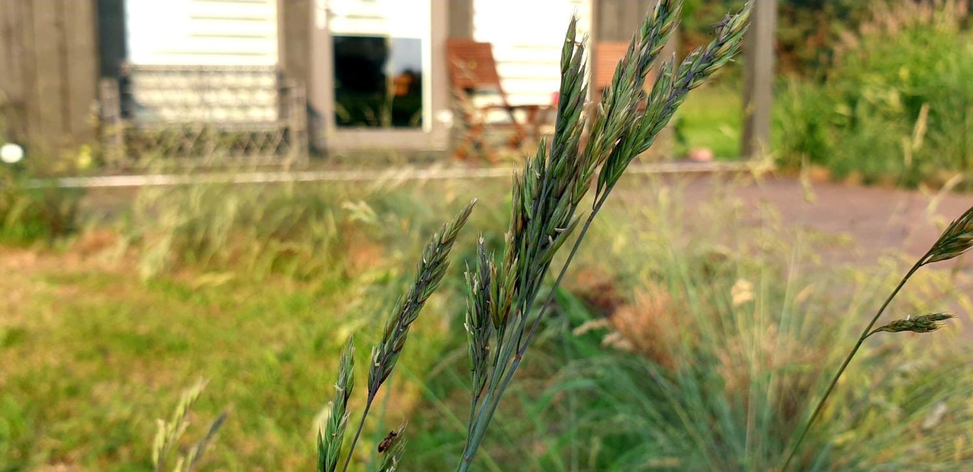 Anna'S Home Jurmalciems Exterior photo